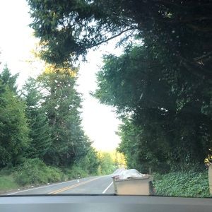 Meet your Posher, Lena